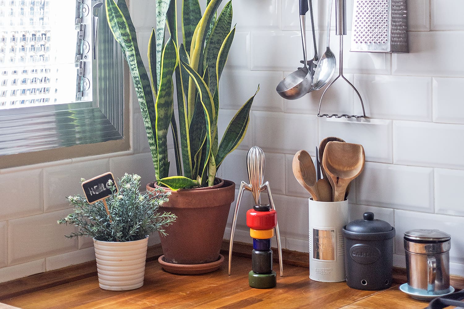 Best Plants Amazon Costa Farms Sale The Kitchn